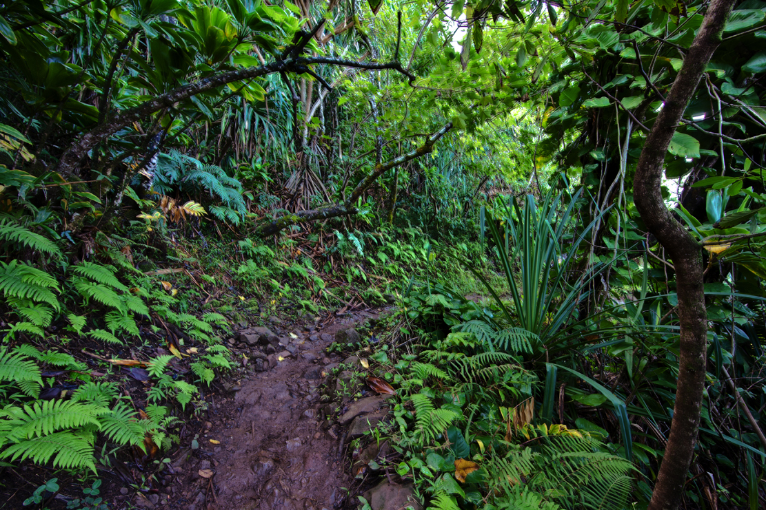 Kalalau Trail Mud